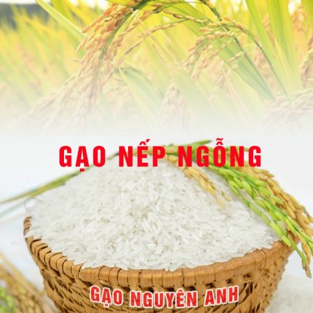 Nếp ngỗng