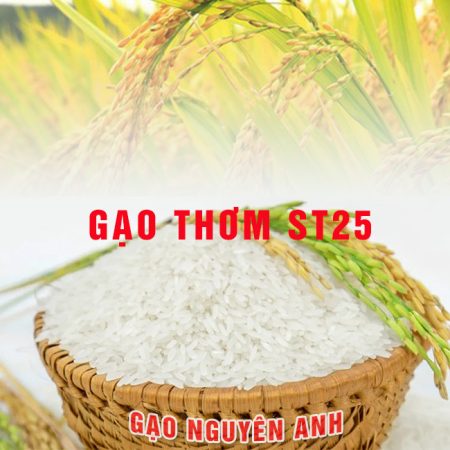 Gạo thơm ST25