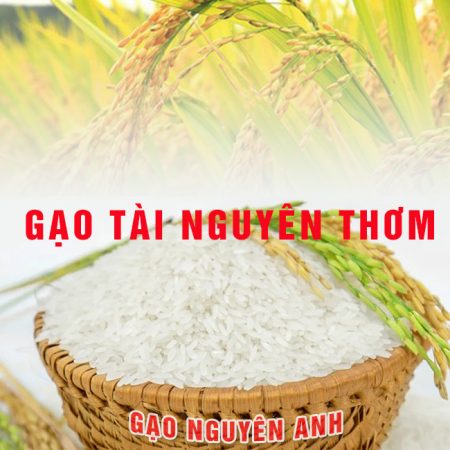 Gạo Tài Nguyên Thơm